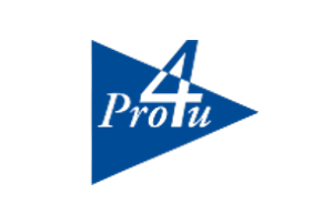 Pro4u Logo ValueMiner